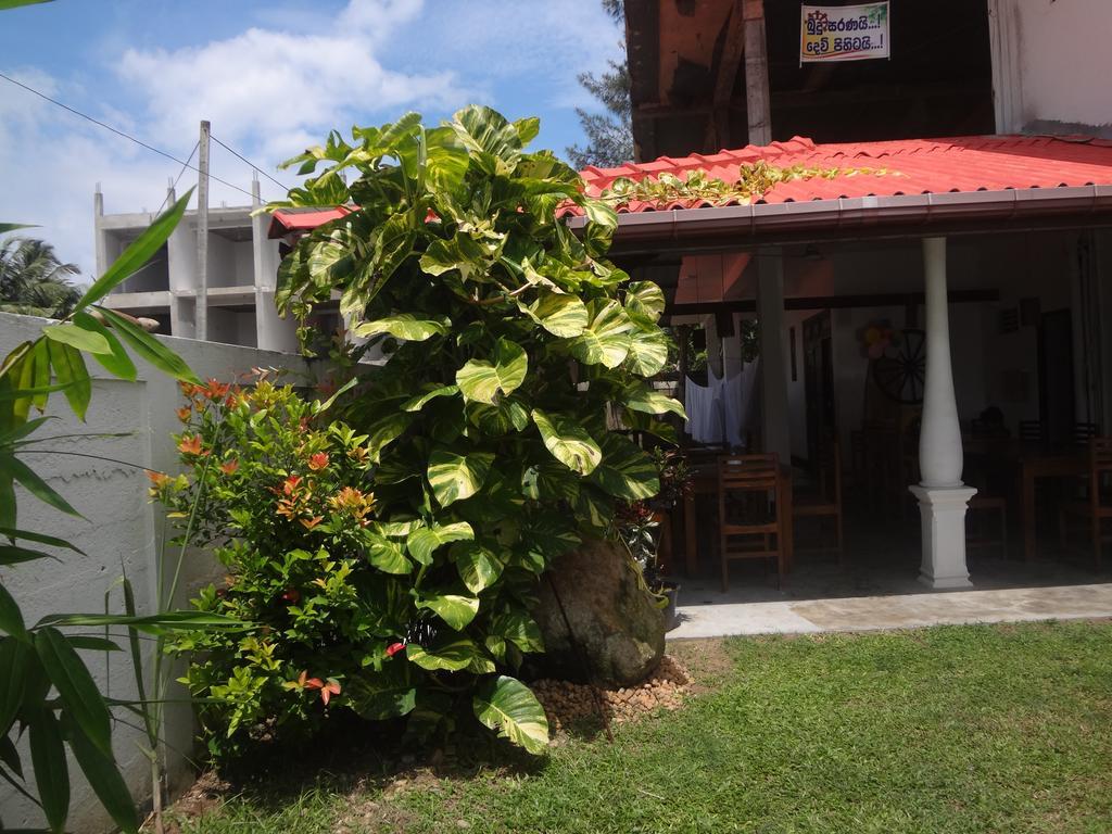 ウェリガマ Ceylon Surf Guest And Restaurant Bed & Breakfast エクステリア 写真